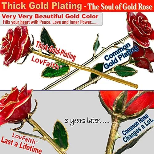 LovFaith 24K Gold Dipped Rose with Crystal Vase | Real Rose Preserved in Gold, Elegant Gift for Her thumbnail 2