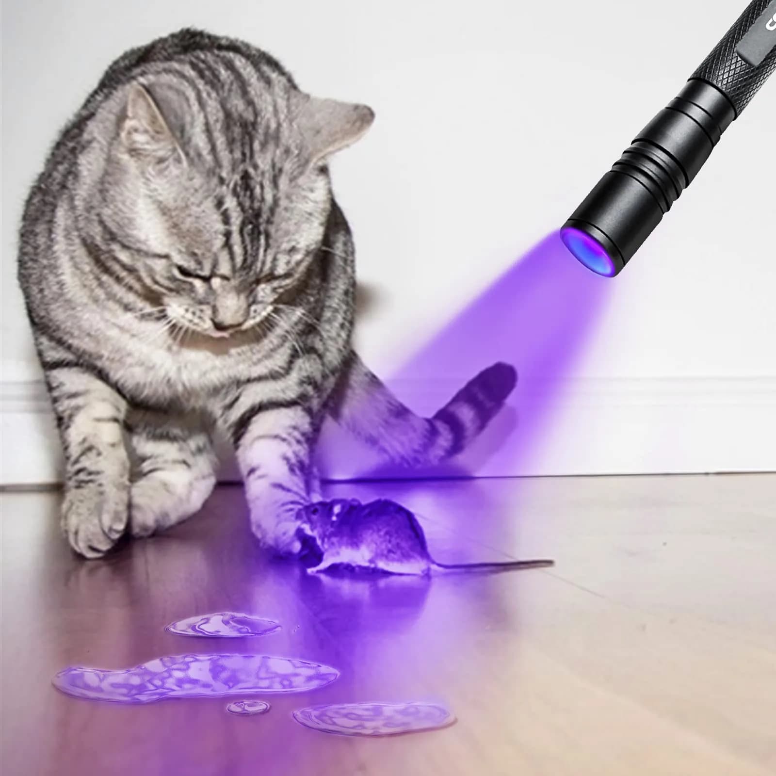 COSMOING 395nm UV Blacklight Flashlight 2-Pack | Detects Invisible Pet Stains & Counterfeit Ink - view 6