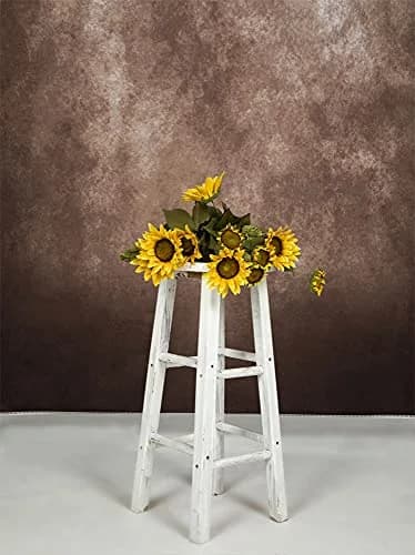 Kate 5x7ft Brown Portrait Backdrop Vintage Brown for Photography Studio | Seamless Microfiber thumbnail 6