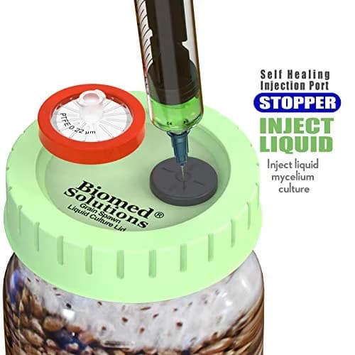 Biomed Solutions 6Pcs Regular Mouth Mushroom Liquid Culture Lids 70mm | Autoclavable & Reusable for Mycology thumbnail 6