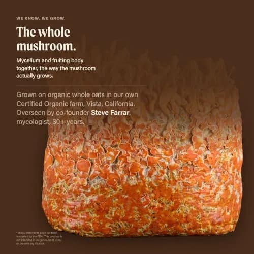 OM MUSHROOM SUPERFOOD Sleep Mushroom Capsules 90 Count | Supports Rest & Sleep Quality thumbnail 4