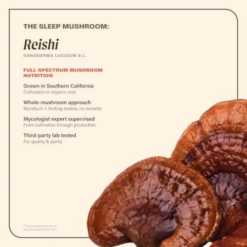 OM MUSHROOM SUPERFOOD Sleep Mushroom Capsules 90 Count | Supports Rest & Sleep Quality thumbnail 3