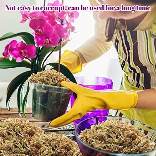 Legigo 4 QT Natural Sphagnum Moss Potting Mix | Moisture-Retentive for Orchids & Carnivorous Plants thumbnail 6