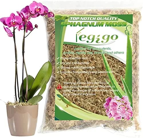 Legigo 4 QT Natural Sphagnum Moss Potting Mix | Moisture-Retentive for Orchids & Carnivorous Plants thumbnail 9