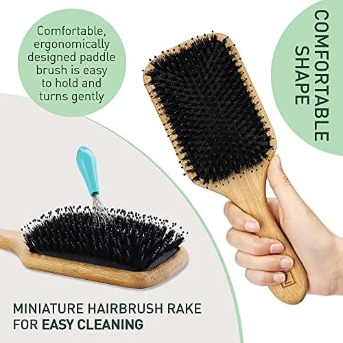 Zollo Natural Boar Bristle Hair Brush for All Hair Types | Detangles, Smooths Frizz, Enhances Shine thumbnail 5