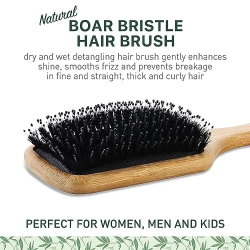 Zollo Natural Boar Bristle Hair Brush for All Hair Types | Detangles, Smooths Frizz, Enhances Shine thumbnail 2