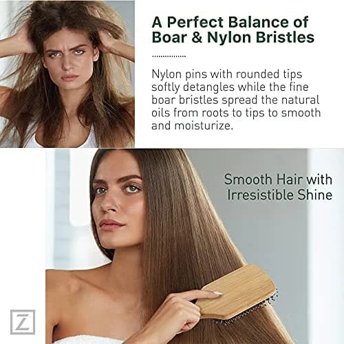 Zollo Natural Boar Bristle Hair Brush for All Hair Types | Detangles, Smooths Frizz, Enhances Shine thumbnail 3
