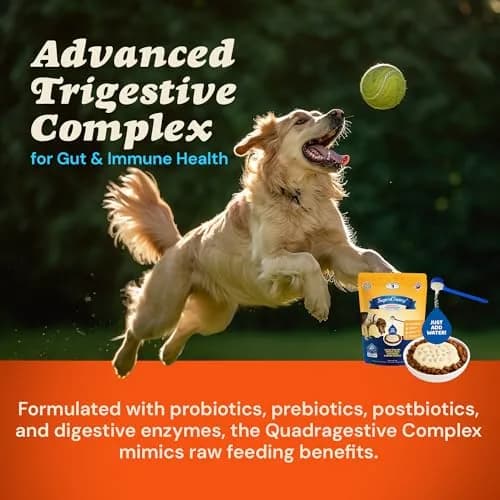 CLEAR CONSCIENCE PET® Arfredo SuperGravy Dog Food Topper Hydration Broth Mix 14 Scoops | Greek Yogurt & Cheese Blend thumbnail 4