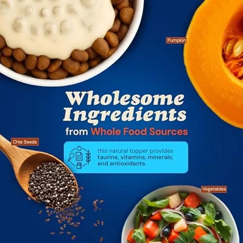 CLEAR CONSCIENCE PET® Arfredo SuperGravy Dog Food Topper Hydration Broth Mix 14 Scoops | Greek Yogurt & Cheese Blend thumbnail 3