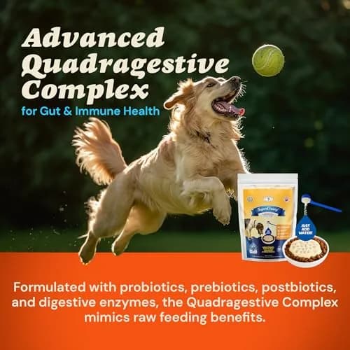 CLEAR CONSCIENCE PET® Arfredo SuperGravy Dog Food Topper Hydration Broth Mix 13.5 oz | Greek Yogurt & Cheese Blend for All Life Stages thumbnail 4