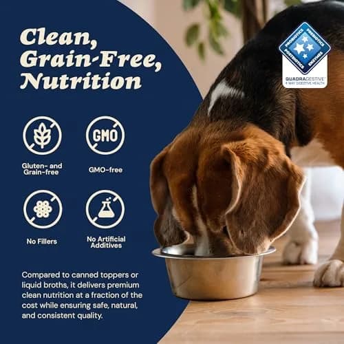 CLEAR CONSCIENCE PET® Arfredo SuperGravy Dog Food Topper Hydration Broth Mix 13.5 oz | Greek Yogurt & Cheese Blend for All Life Stages thumbnail 7