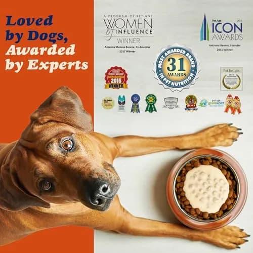 CLEAR CONSCIENCE PET® Arfredo SuperGravy Dog Food Topper Hydration Broth Mix 13.5 oz | Greek Yogurt & Cheese Blend for All Life Stages thumbnail 8
