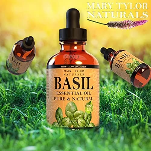 Mary Tylor Naturals Basil Essential Oil 1 oz | Pure Therapeutic Grade Aromatherapy thumbnail 4