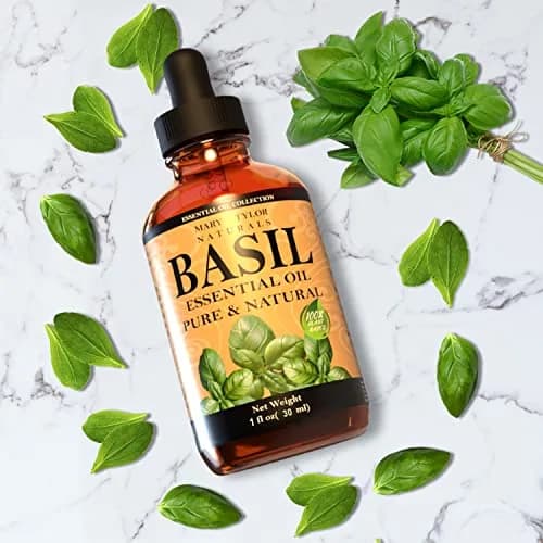 Mary Tylor Naturals Basil Essential Oil 1 oz | Pure Therapeutic Grade Aromatherapy thumbnail 2