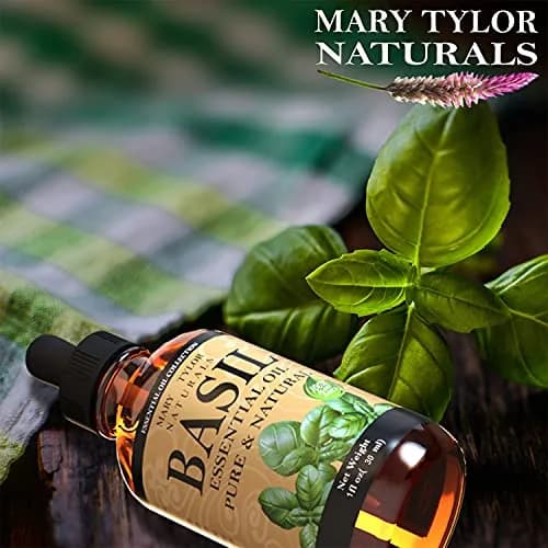 Mary Tylor Naturals Basil Essential Oil 1 oz | Pure Therapeutic Grade Aromatherapy thumbnail 3