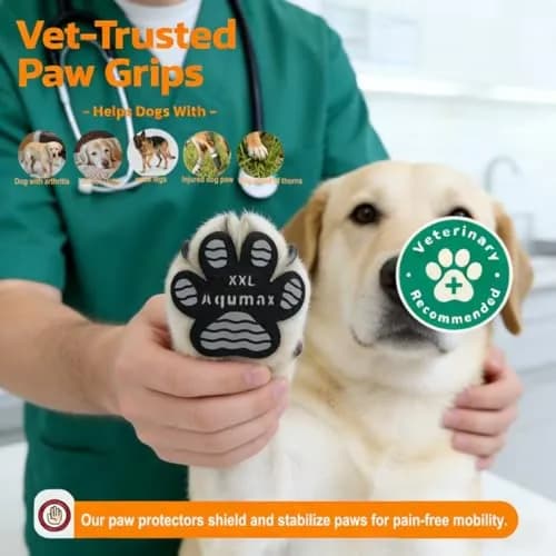 Aqumax Anti-Slip Pads for Dogs | Traction & Stability on Hardwood Floors (XXL-6.5cm x 6cm) thumbnail 7