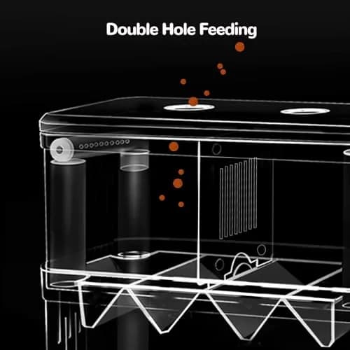 J-star Extra Large Fish Breeder Box for Aquarium Tank, Acrylic Breeding Box for Guppy/Betta/Shrimp, Baby Fish Hatchery & Isolation Tank | Acrylic, Transparent, XL thumbnail 4