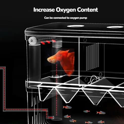 J-star Extra Large Fish Breeder Box for Aquarium Tank, Acrylic Breeding Box for Guppy/Betta/Shrimp, Baby Fish Hatchery & Isolation Tank | Acrylic, Transparent, XL thumbnail 6