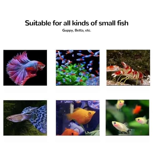 J-star Extra Large Fish Breeder Box for Aquarium Tank, Acrylic Breeding Box for Guppy/Betta/Shrimp, Baby Fish Hatchery & Isolation Tank | Acrylic, Transparent, XL thumbnail 7
