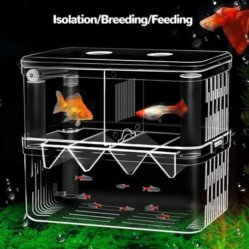 J-star Extra Large Fish Breeder Box for Aquarium Tank, Acrylic Breeding Box for Guppy/Betta/Shrimp, Baby Fish Hatchery & Isolation Tank | Acrylic, Transparent, XL thumbnail 2