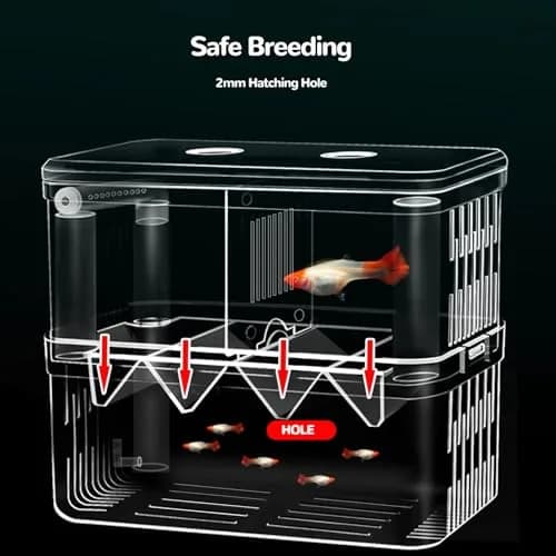 J-star Extra Large Fish Breeder Box for Aquarium Tank, Acrylic Breeding Box for Guppy/Betta/Shrimp, Baby Fish Hatchery & Isolation Tank | Acrylic, Transparent, XL thumbnail 3