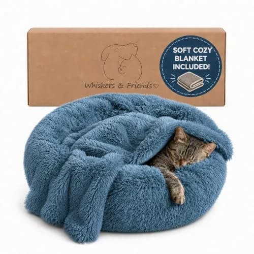 Whiskers & Friends Calming Donut Cat Bed 58cm (23") | Orthopedic Soft Plush Round Pet Bed for Indoor Cats & Small Dogs thumbnail 1