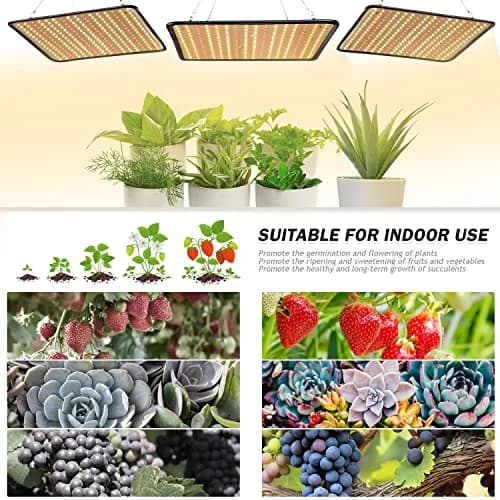 SERWING 200W LED Grow Light Bulb 3735lm | Full Spectrum for Indoor Plants thumbnail 5