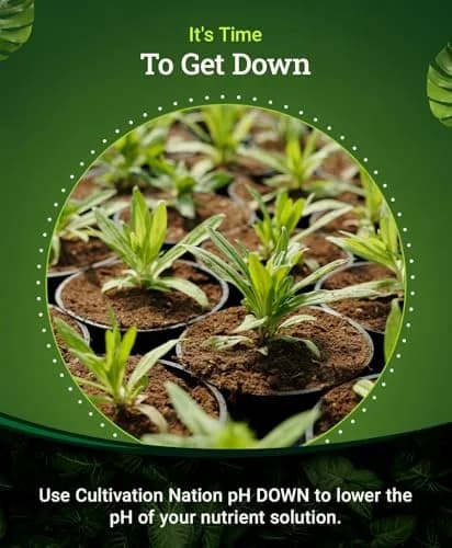 FoxFarm Cultivation Nation pH Down for Plants’ Nutrient Solutions 1 Pint | Formulated with Citric Acid for Soil & Hydroponics thumbnail 4
