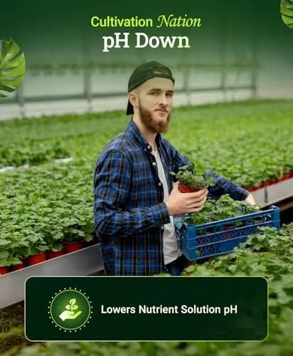 FoxFarm Cultivation Nation pH Down for Plants’ Nutrient Solutions 1 Pint | Formulated with Citric Acid for Soil & Hydroponics thumbnail 3
