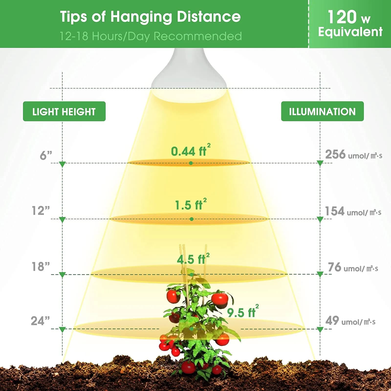 Briignite BR30 LED Grow Light Bulb 12W (4-Pack) | Full Spectrum for Seeds & Greens - view 6