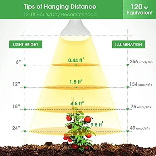 Briignite BR30 LED Grow Light Bulb 12W (4-Pack) | Full Spectrum for Seeds & Greens thumbnail 6