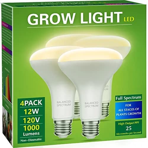 Briignite BR30 LED Grow Light Bulb 12W (4-Pack) | Full Spectrum for Seeds & Greens thumbnail 1