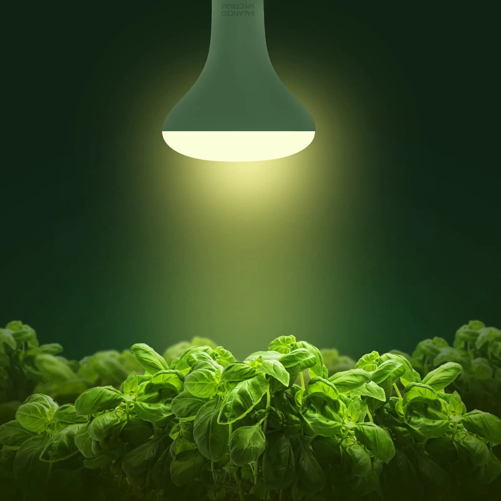 Briignite BR30 LED Grow Light Bulb 12W (4-Pack) | Full Spectrum for Seeds & Greens - view 2