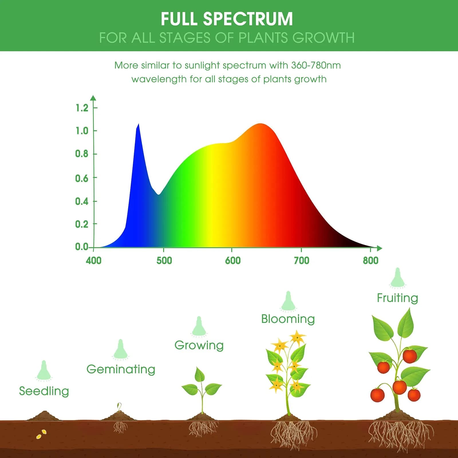 Briignite BR30 LED Grow Light Bulb 12W (4-Pack) | Full Spectrum for Seeds & Greens - view 3