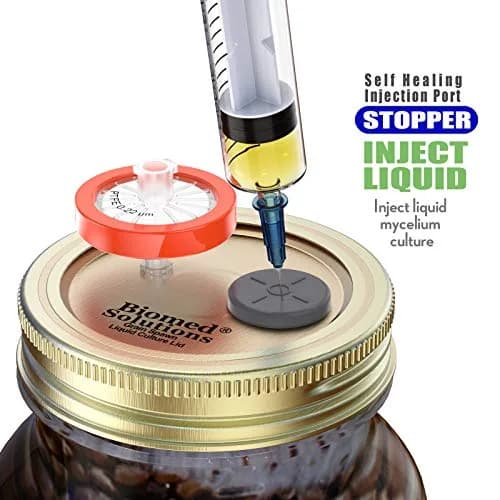 Biomed Solutions 6Pcs Regular Mouth Liquid Culture Lids with PTFE Filter & Injection Ports | Golden thumbnail 5