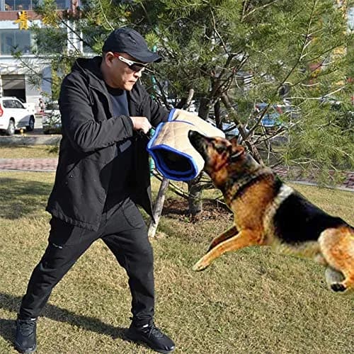 Morezi Dog Bite Sleeve Training Large Dogs | Durable Tug Toy for Puppies & K9s thumbnail 7