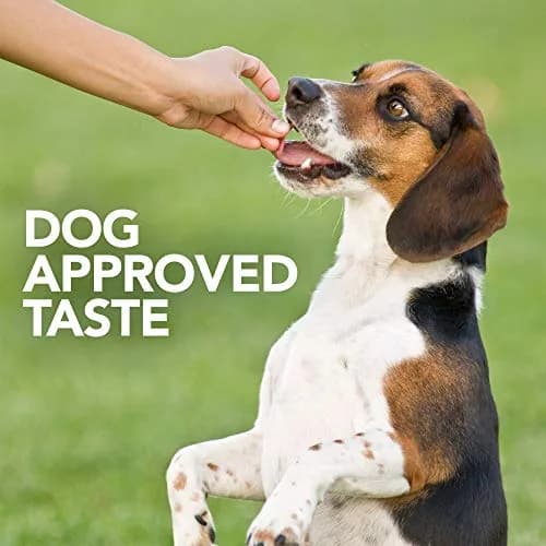 Vet's Best Probiotic Soft Chews for Dogs 90 Count | Digestive & Gut Health Support thumbnail 5