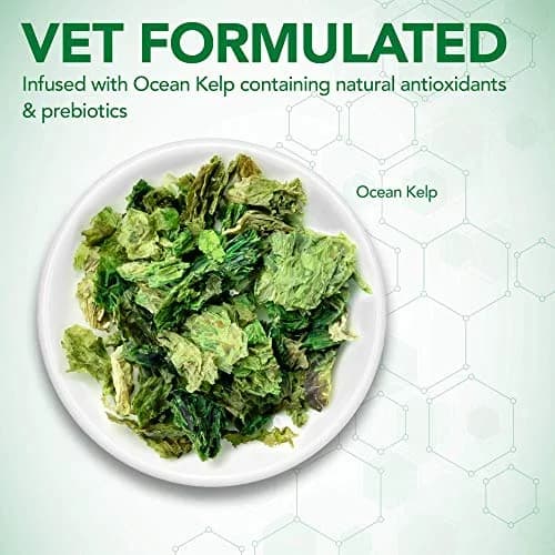 Vet's Best Probiotic Soft Chews for Dogs 90 Count | Digestive & Gut Health Support thumbnail 3