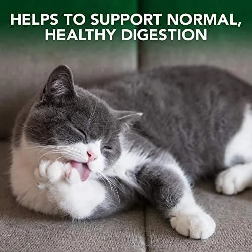 Vet's Best Cat Hairball Relief Chewable Tablets 180 Count | Natural Digestive Aid for Cats thumbnail 4