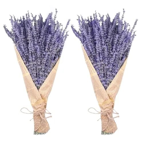 Uieke Natural Dried Lavender Bundles | 280-300 Stems, 180g/6.35oz, Aromatic & Long-Lasting thumbnail 1