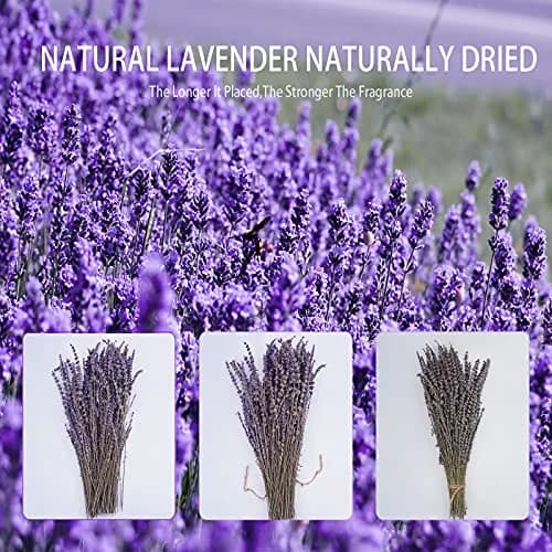 Uieke Natural Dried Lavender Bundles | 280-300 Stems, 180g/6.35oz, Aromatic & Long-Lasting thumbnail 8