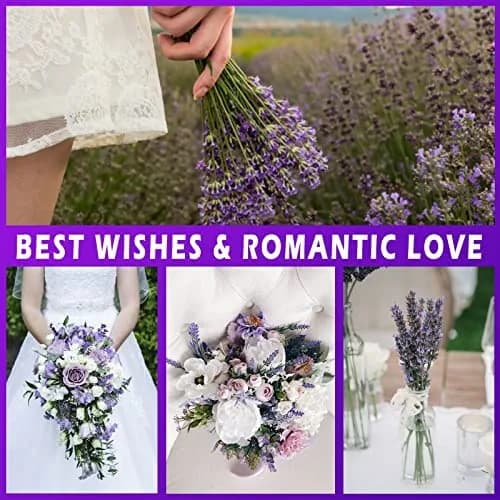 Uieke Natural Dried Lavender Bundles | 280-300 Stems, 180g/6.35oz, Aromatic & Long-Lasting thumbnail 9