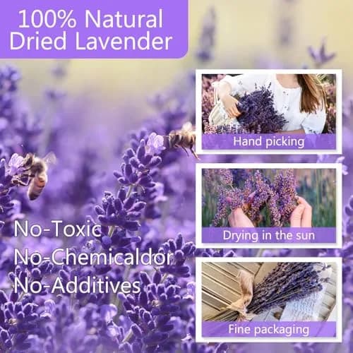 Uieke Natural Dried Lavender Bundles | 280-300 Stems, 180g/6.35oz, Aromatic & Long-Lasting thumbnail 2