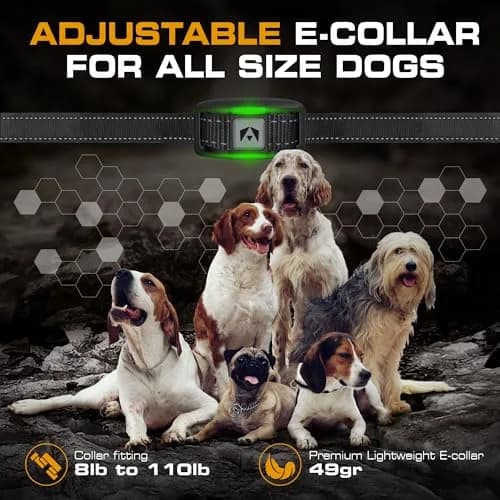 INVIROX 2026 Edition Dog Training Collar with Remote, 123 Levels, 3300ft Range, IP67 Waterproof | Professional E-Collar for Large Dogs thumbnail 6