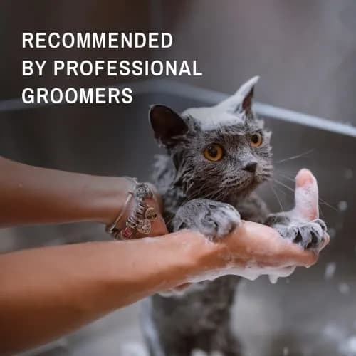 Eye Envy Tear Stain Facial Cleanser for Dogs & Cats 3.78 L (1 US Gallon) | Gentle Foaming Formula for Eye Debris & Discharge thumbnail 5