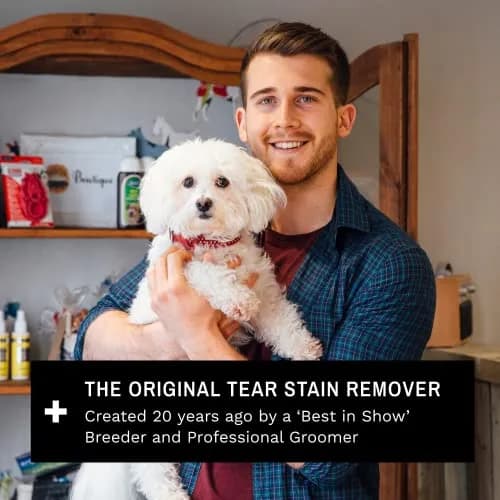 Eye Envy Tear Stain Facial Cleanser for Dogs & Cats 3.78 L (1 US Gallon) | Gentle Foaming Formula for Eye Debris & Discharge thumbnail 6