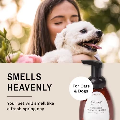 Eye Envy Tear Stain Facial Cleanser for Dogs & Cats 3.78 L (1 US Gallon) | Gentle Foaming Formula for Eye Debris & Discharge thumbnail 7