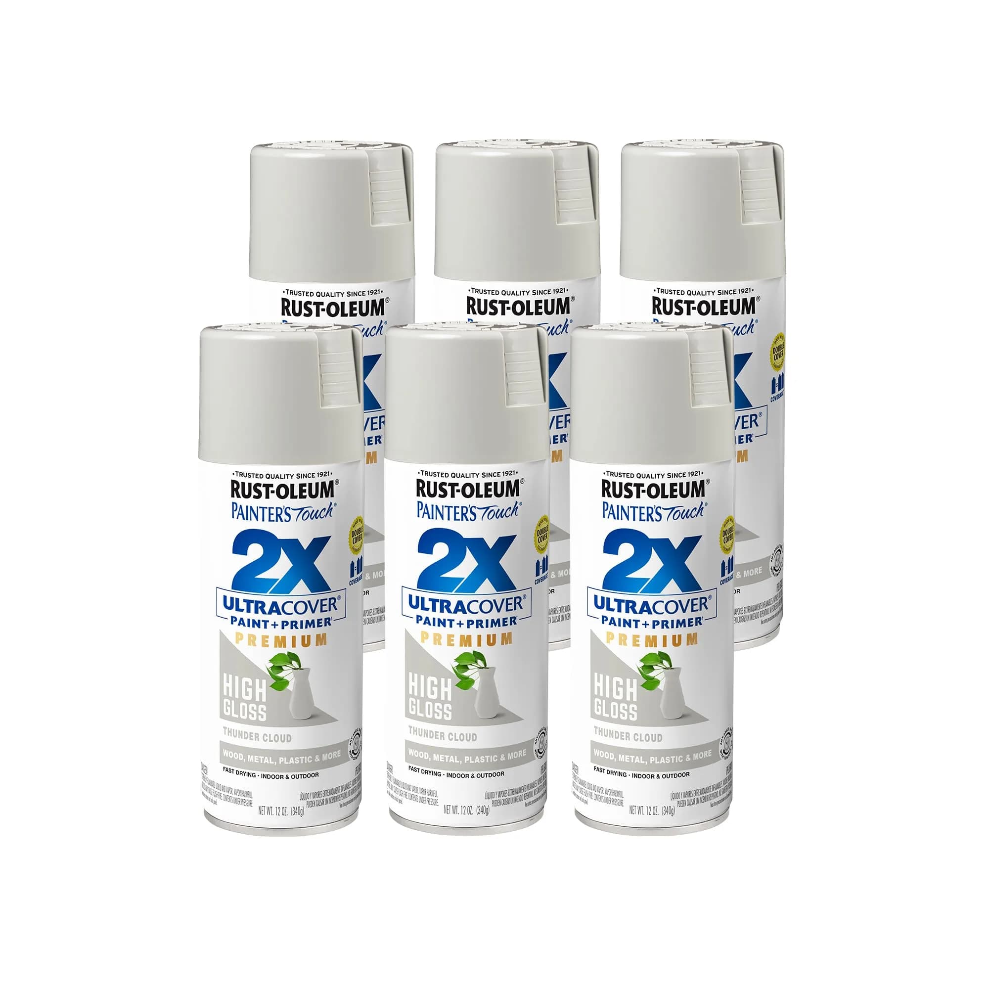 Rust-Oleum Painter's Touch 2X High Gloss Thunder Cloud Spray Paint - 12 Oz (Pack of 6) - main product image