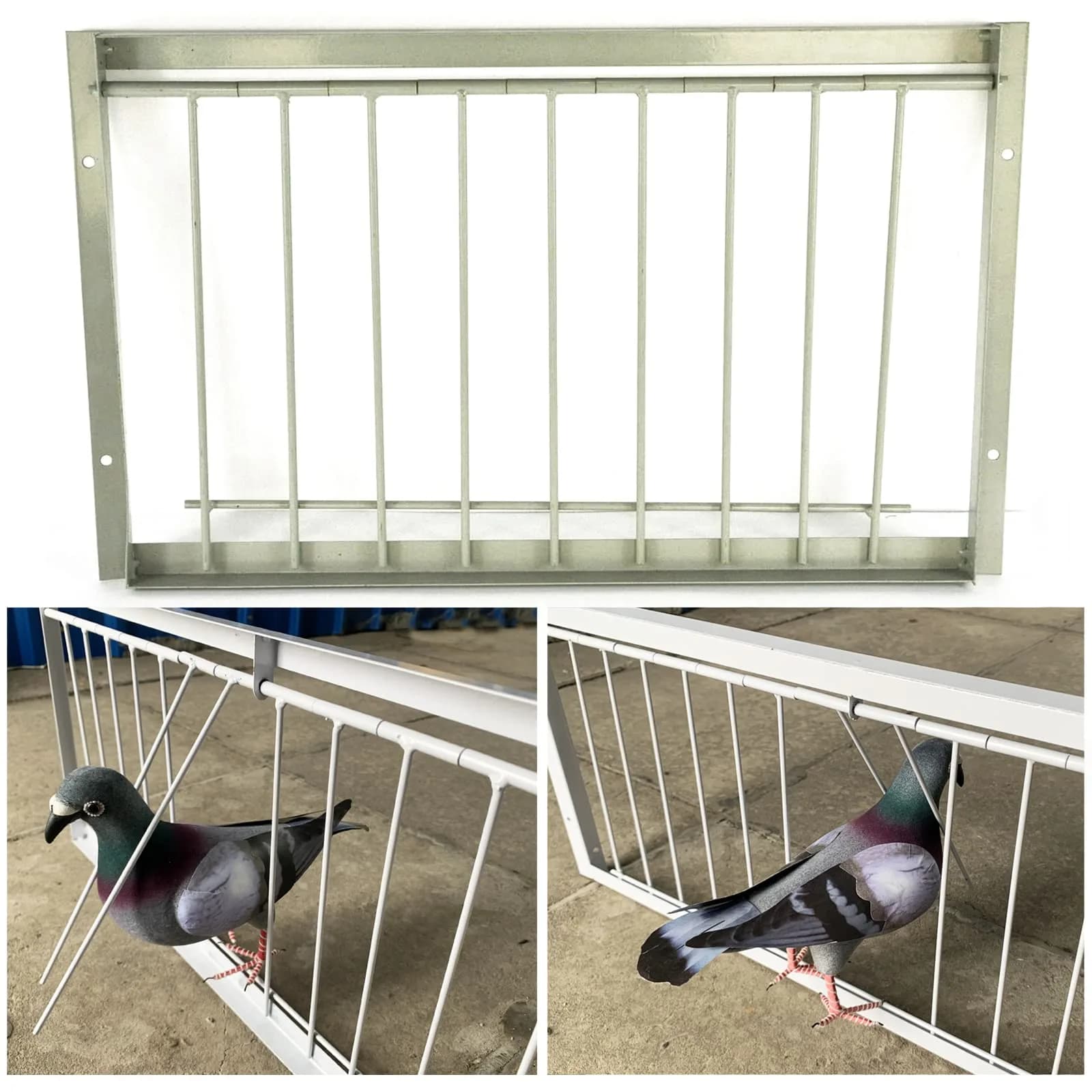 SRRPSPIGEON Pigeon Loft Door 30 cm (12 in) | One-Way Entry for Pigeon Lofts — 30CM