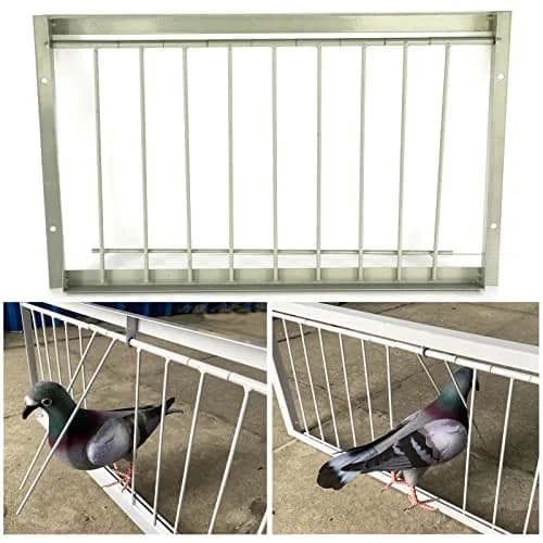 SRRPSPIGEON Pigeon Loft Door 30 cm (12 in) | One-Way Entry for Pigeon Lofts thumbnail 1